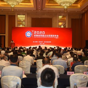 我市民營(yíng)企業(yè)閃耀全省百強(qiáng)榜單