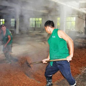 喚醒兩千余條窖池，新的釀酒季由此開始