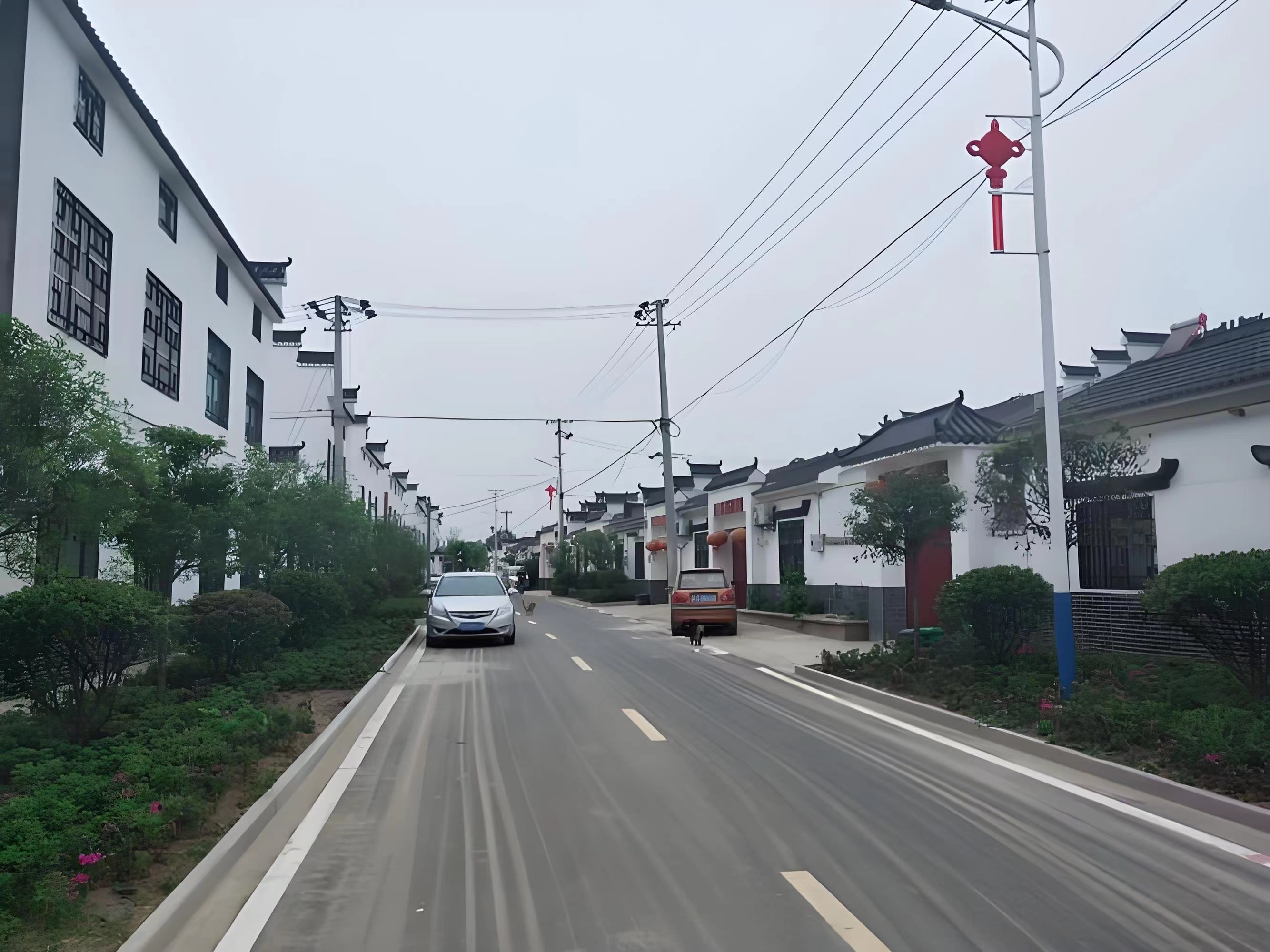 傳承紅色基因，續(xù)寫潁上黃壩發(fā)展新篇章